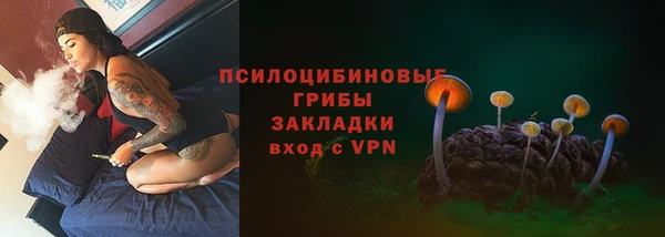 сатива Алексеевка