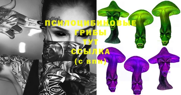 сатива Алексеевка