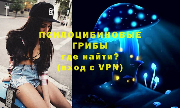 дурь Алзамай