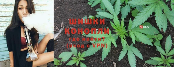 дурь Алзамай